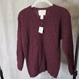 Express Men's Deep Burgundy V-Neck Sweater